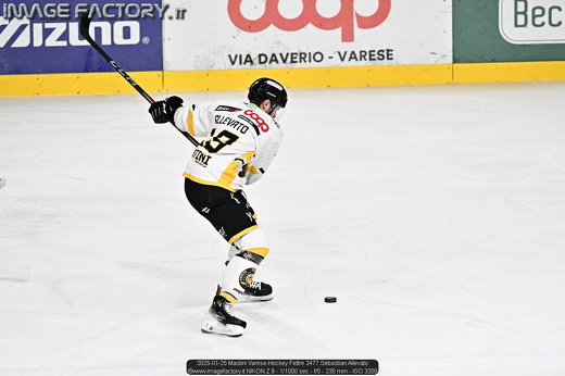 2025-01-25 Mastini Varese-Hockey Feltre 2477 Sebastian Allevato